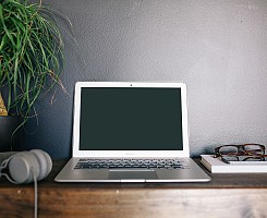 Aenean pulvinar, nisi vitae